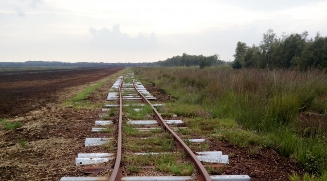 Gleise der Torfbahn im Himmelmoor bei Quickborn